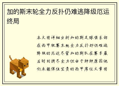 加的斯末轮全力反扑仍难逃降级厄运终局